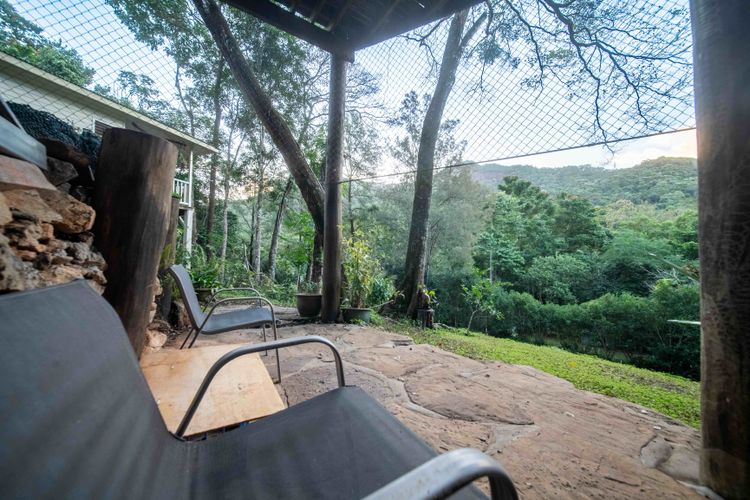 The Rainforest Nook