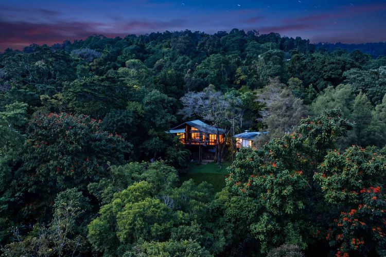 The Rainforest Nook
