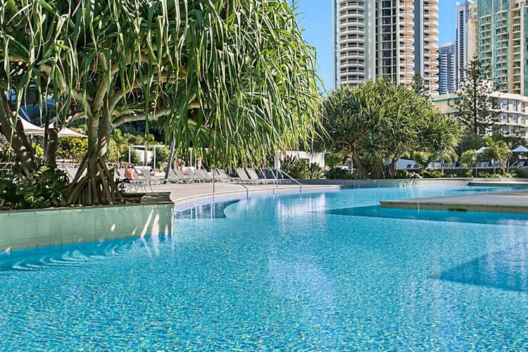 Q1 Resort – One Bedroom Apartment