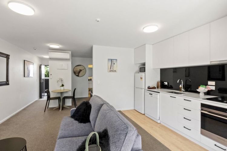 Open plan apartment with sofa bed for extra guest or family