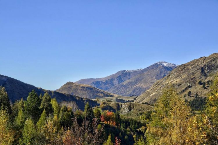 Alpine Views