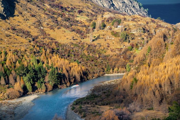 Local Shotover River - walking track near by