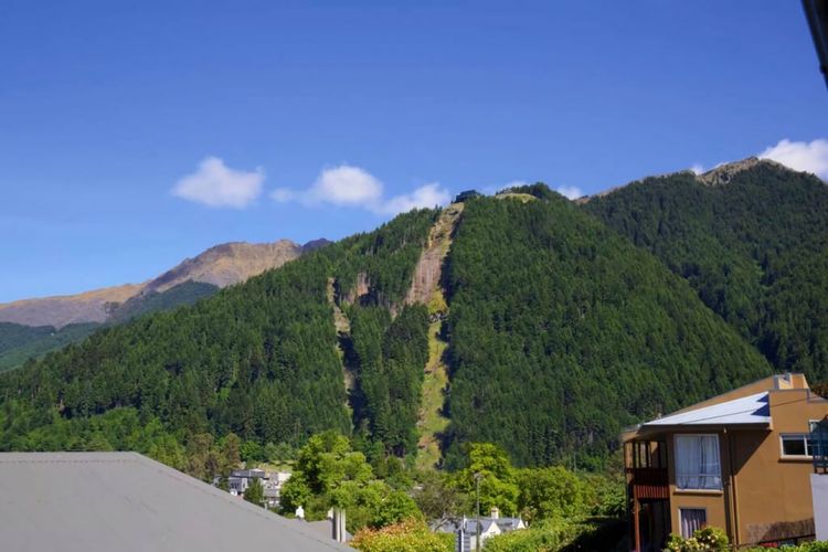 Historic Stone House & Alley Cottage