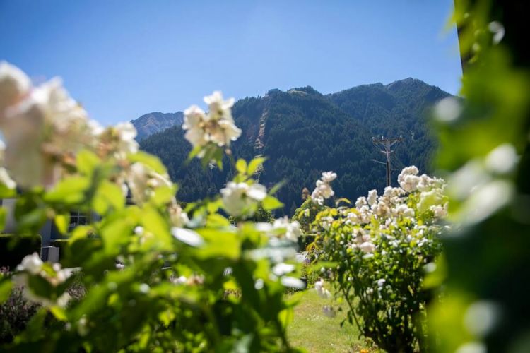 Historic Stone Cottage Apt 1- spa – 3 min from town