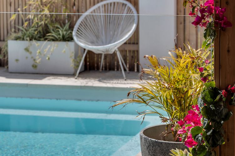 Bellvilla – Kingfisher 5 Bd Suite