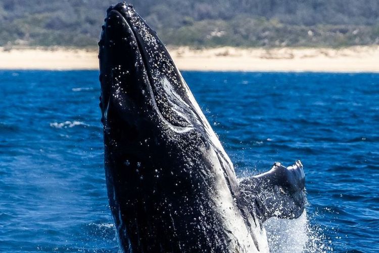 Lakeside Apartments 4