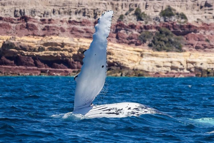 Lakeside Apartments 4