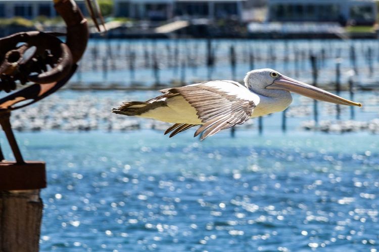 Lakeside Apartments 4