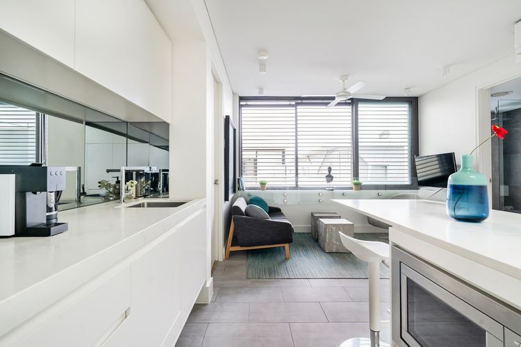 Stylish 1BR Apartment w Skylight near Bondi Beach
