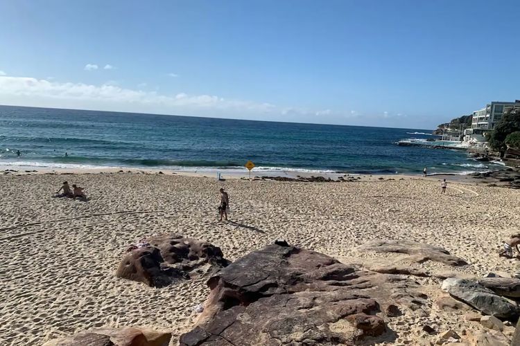 Warm Spacious Bondi Stay with Parking