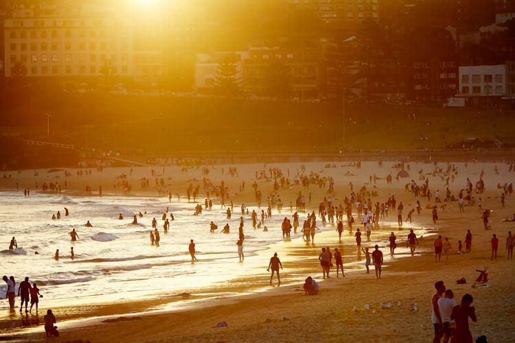 End the day with sunset drinks and Bondi nightlife.