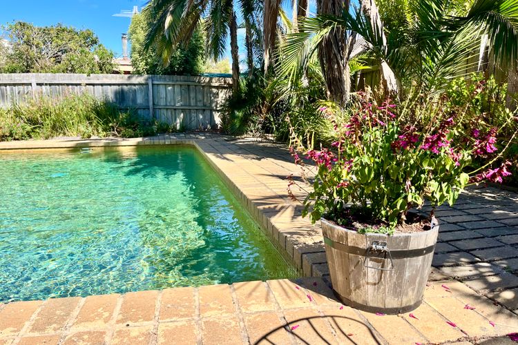 Miranda Oasis
