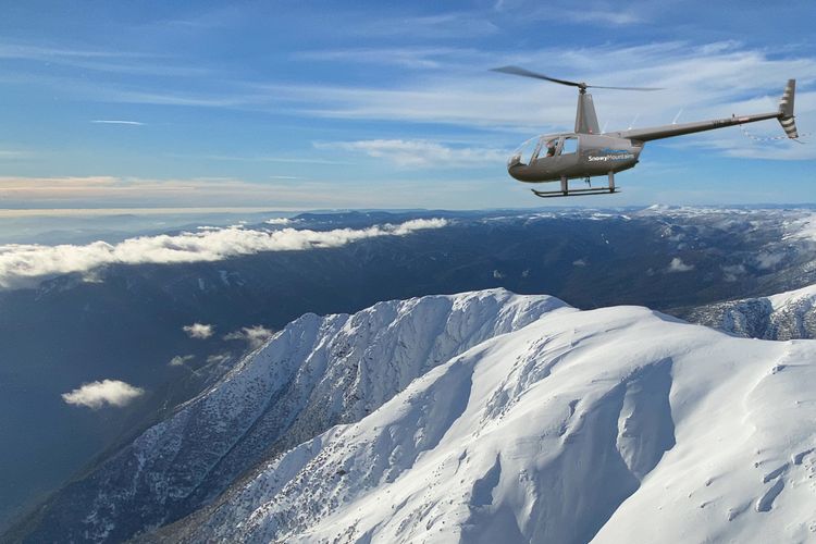 Cherrywood Cottage – Pet Friendly