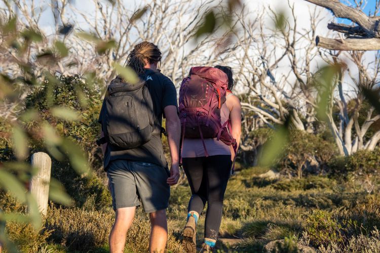 Alpine Mountain View 10