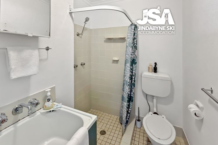 Alpine Mountain View 49