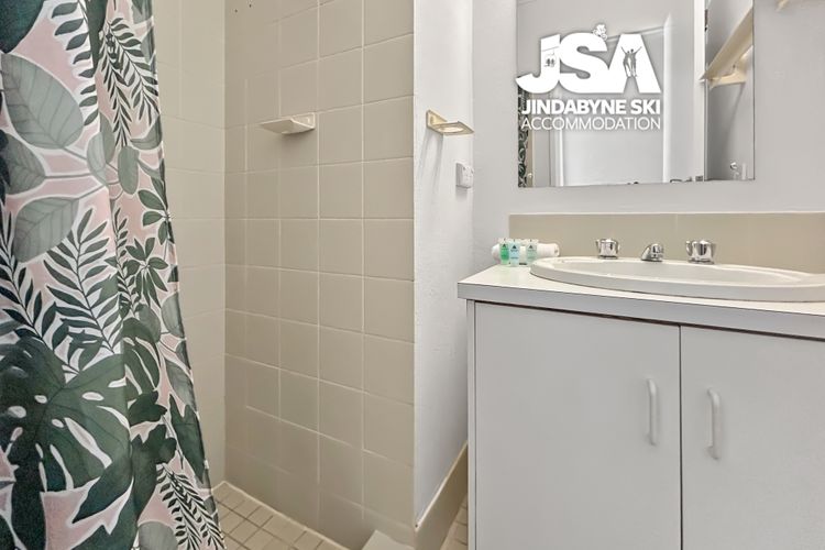 Alpine Mountain View 49