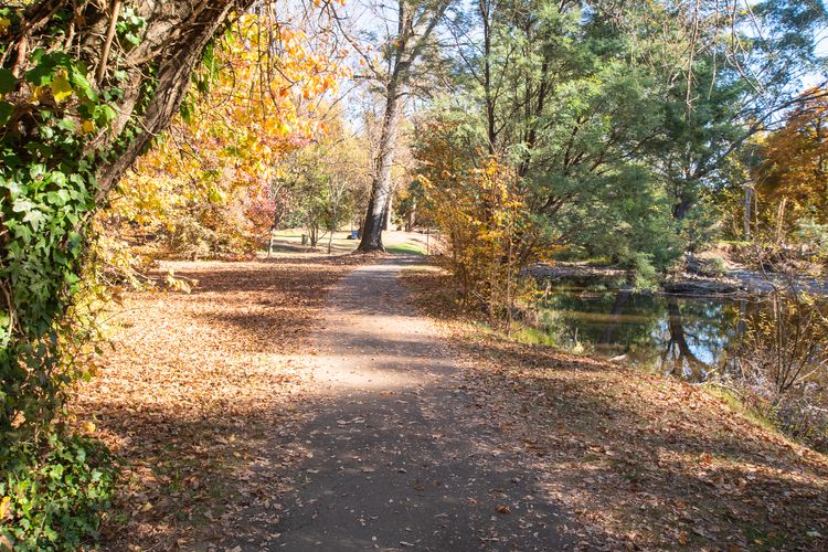 Warrina – Overlooks Ovens River and five minute walk into town