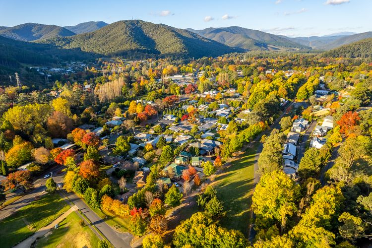 Autumn Beauty – Alpine Cottage 5