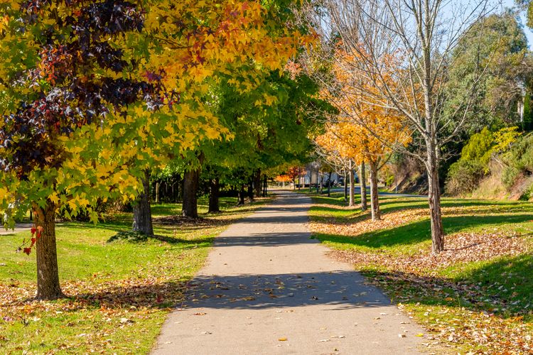 Autumn Beauty – Alpine Cottage 5