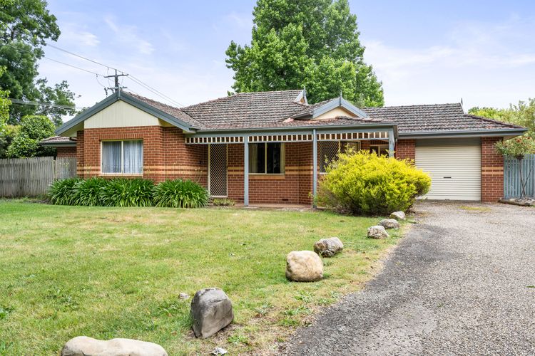 Happy Paws Bright Hideaway