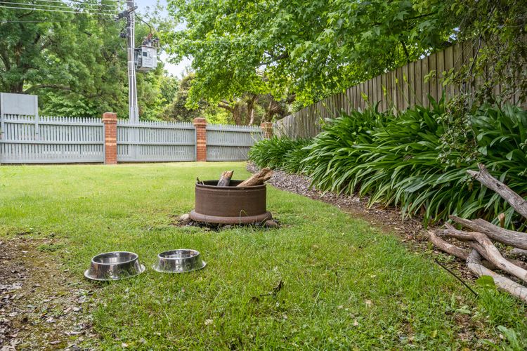 Happy Paws Bright Hideaway