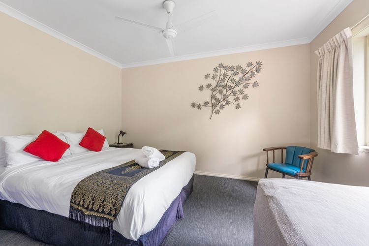 Happy Paws Bright Hideaway