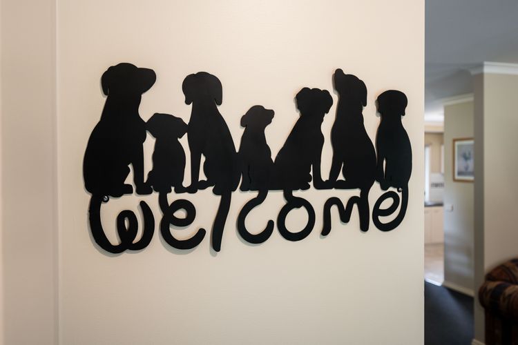 Happy Paws Bright Hideaway