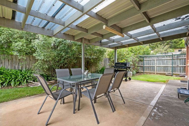 Happy Paws Bright Hideaway