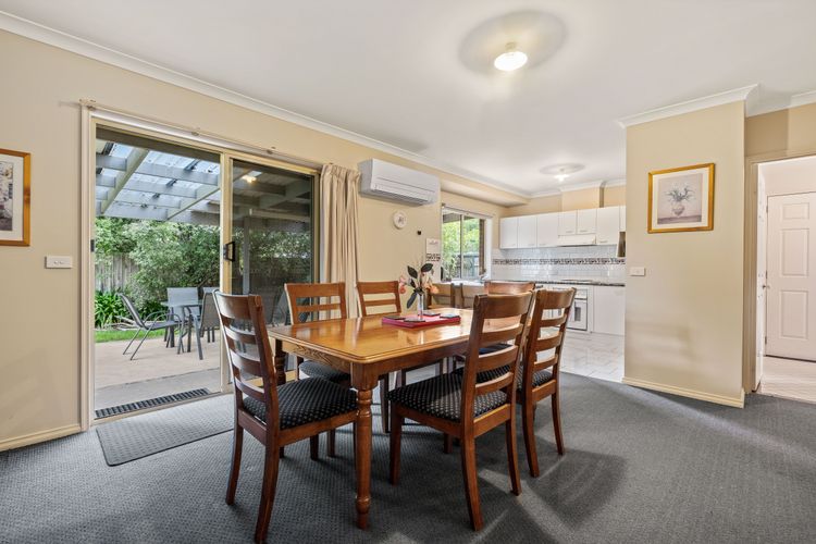 Happy Paws Bright Hideaway