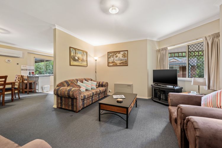 Happy Paws Bright Hideaway