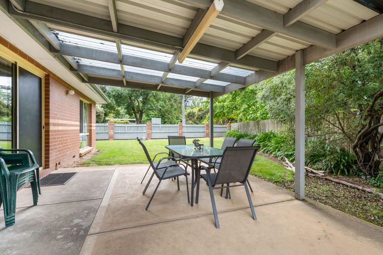 Happy Paws Bright Hideaway