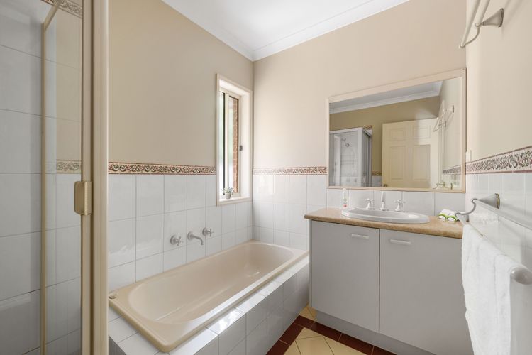 Happy Paws Bright Hideaway