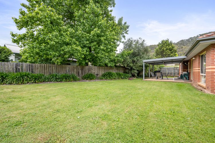 Happy Paws Bright Hideaway