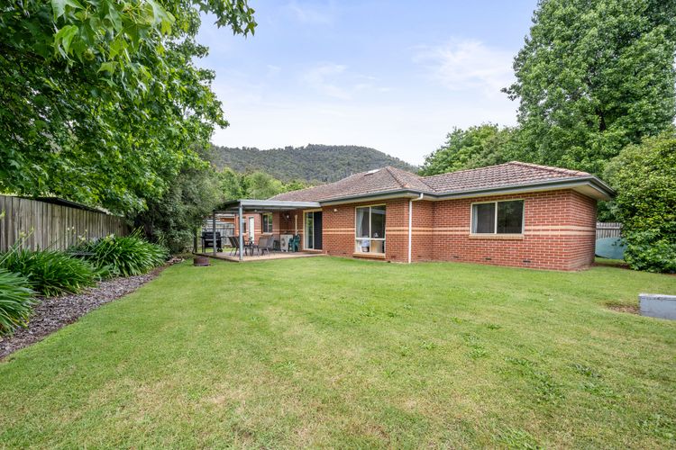 Happy Paws Bright Hideaway