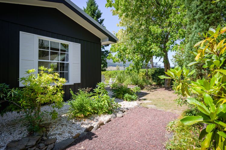 Golden Pine Retreat