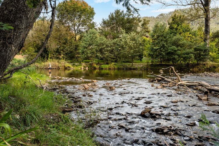 Roses on the River – An absolute river frontage cottage