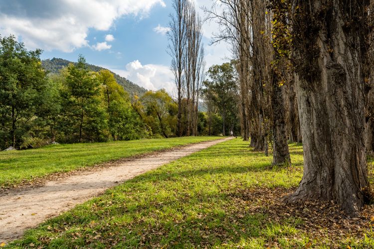 Roses on the River – An absolute river frontage cottage