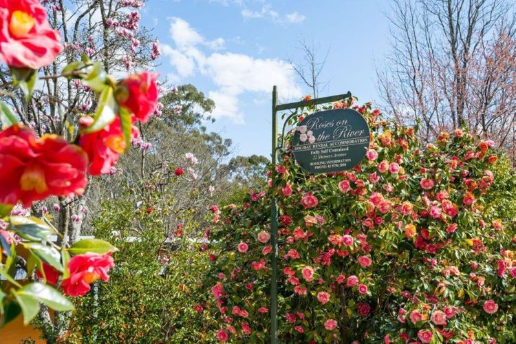 Roses on the River – An absolute river frontage cottage