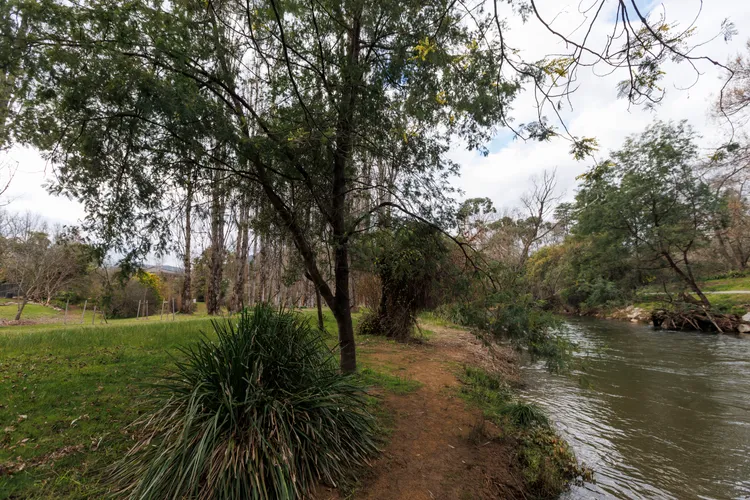 Roses on the River – An absolute river frontage cottage
