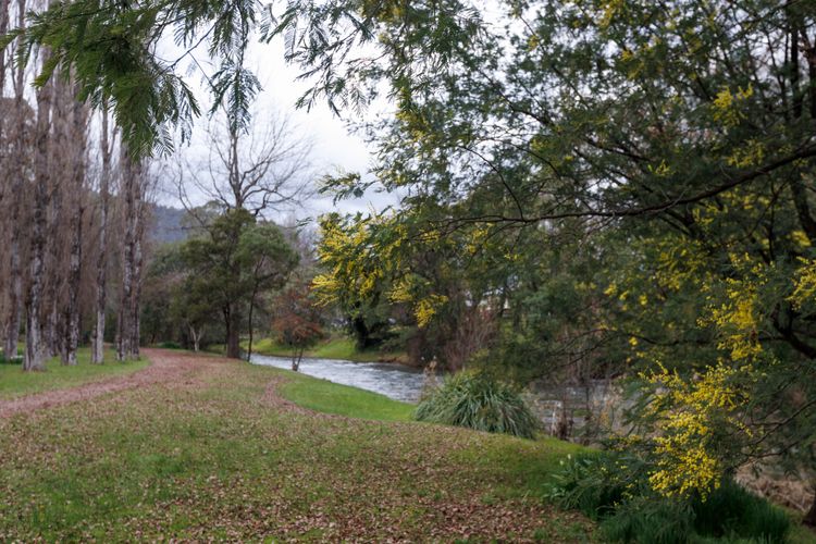 Roses on the River – An absolute river frontage cottage