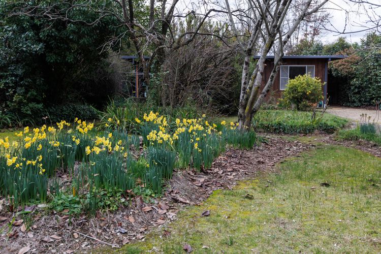 Roses on the River – An absolute river frontage cottage