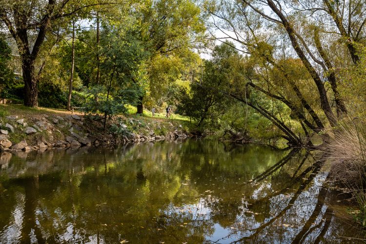 Roses on the River – An absolute river frontage cottage