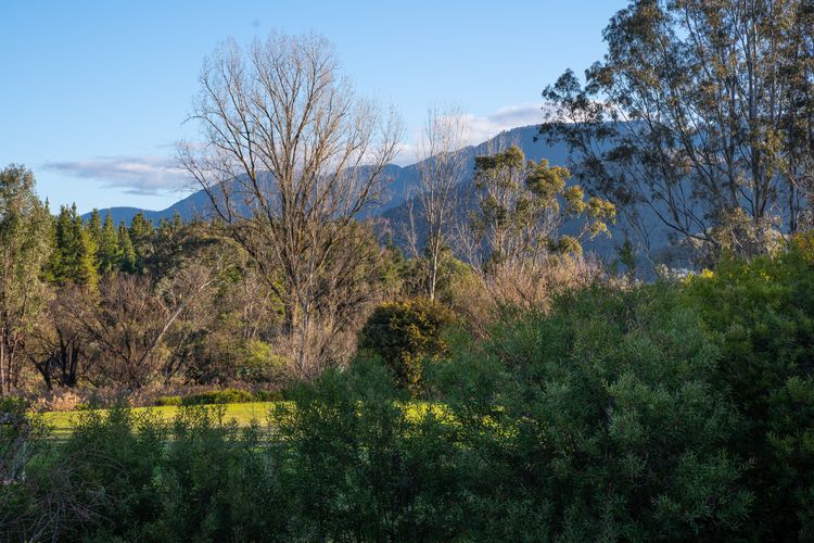 Mount Buffalo Views
