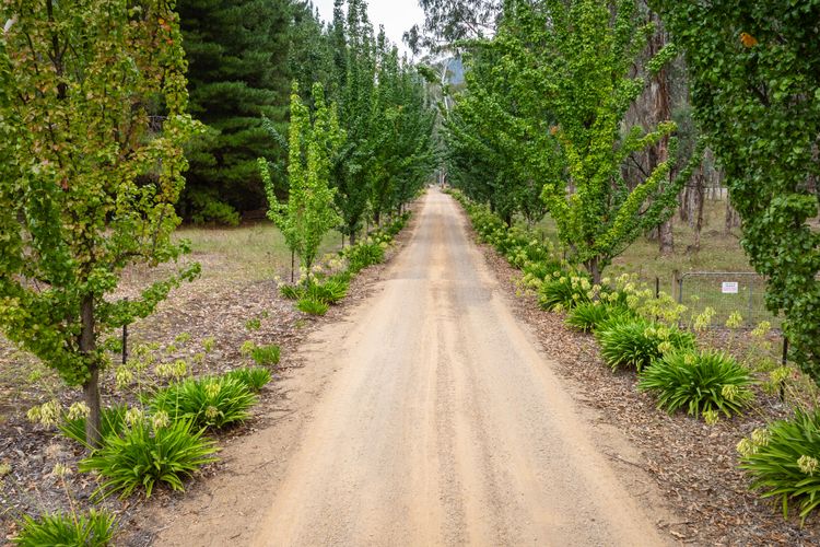 Mountain and River Retreat