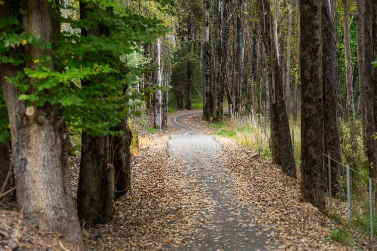 Mountain and River Retreat