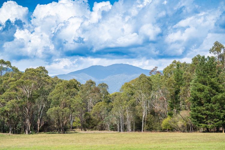 Mountain and River Retreat