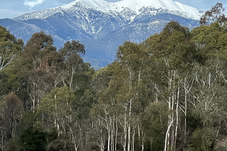 Mountain and River Retreat