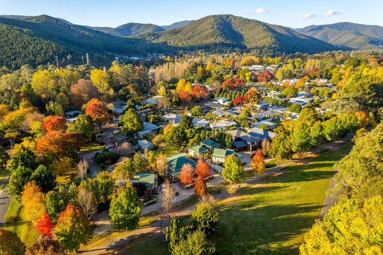 Autumn Beauty – Mountain View Cottage 3
