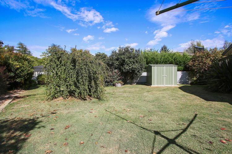 TrailBlazer – Indulgent Adventure