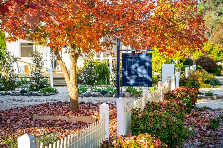 Autumn Beauty – Garden Cottage 4